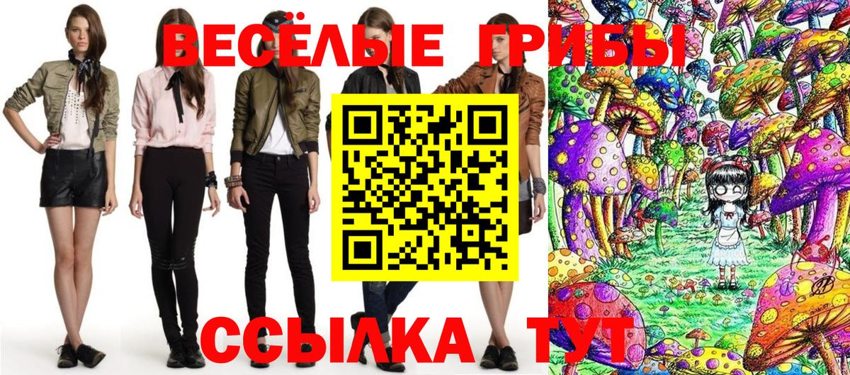 Галлюциногенные грибы мицелий  Галлюциногенные грибы MAGIC MUSHROOMS  Тимашёвск  Вход с VPN 